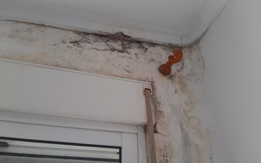 Vivienda – Comunidad Valenciana – Orihuela